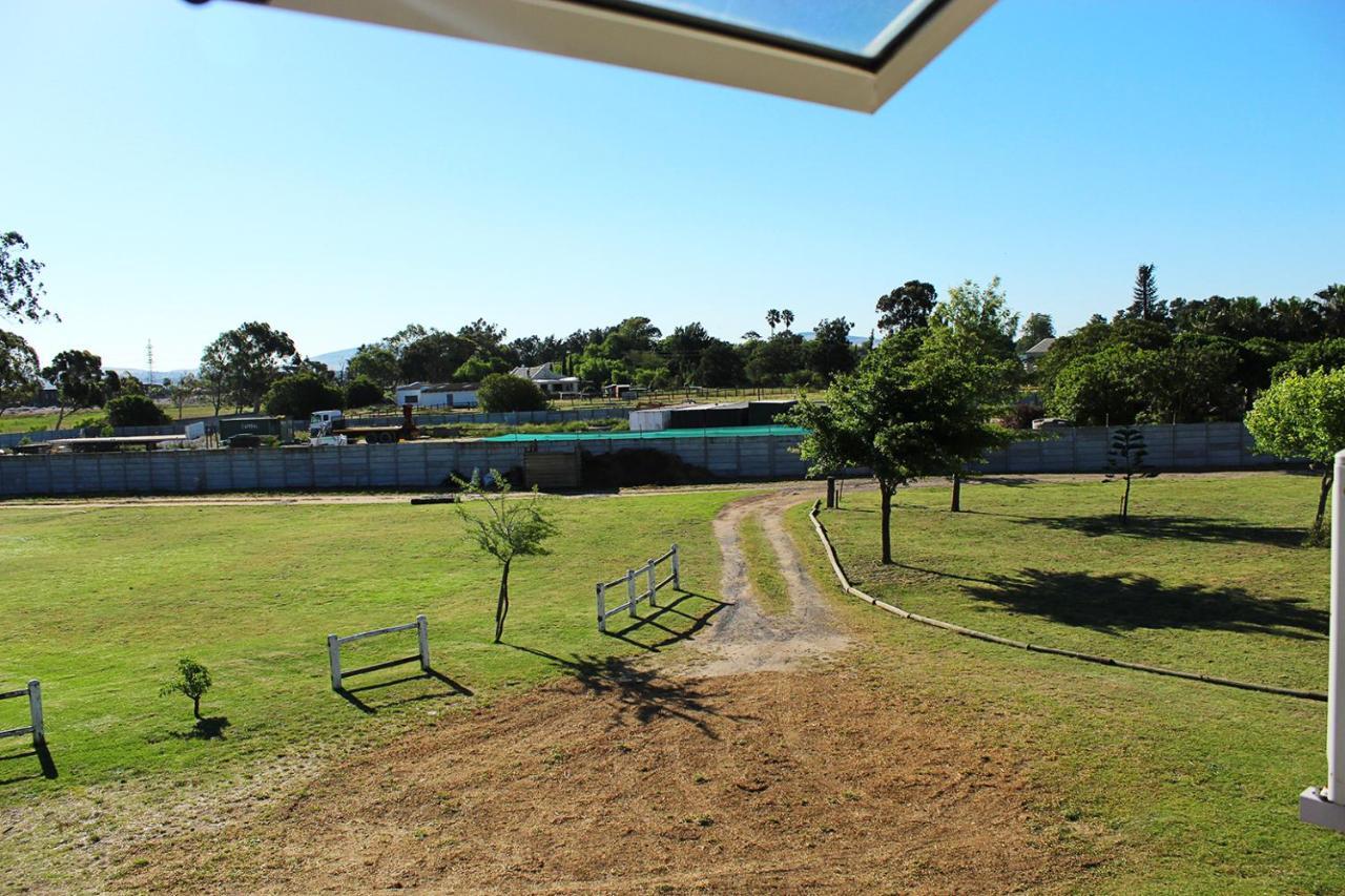 African Adventures Accommodation 杜班维尔 外观 照片