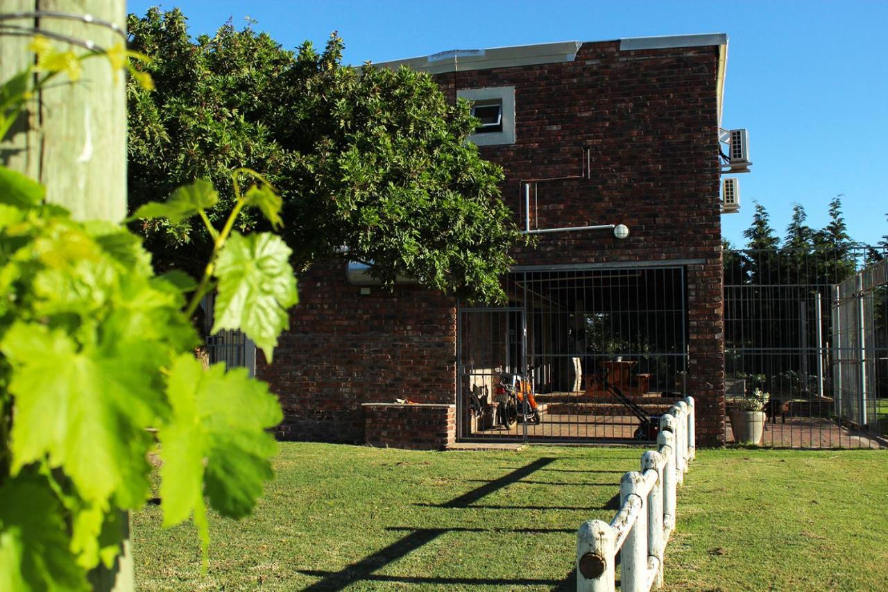 African Adventures Accommodation 杜班维尔 外观 照片